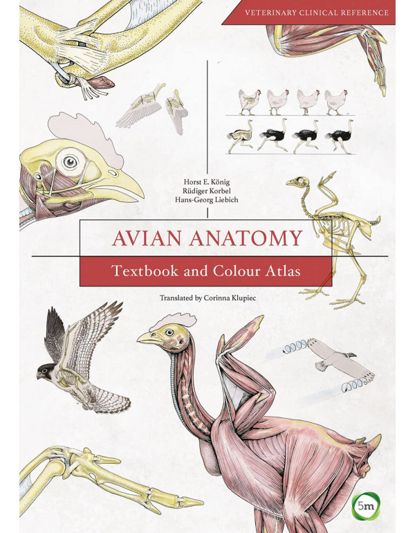 Avian Anatomy *HARDCOVER* Textbook And Colour Atla...